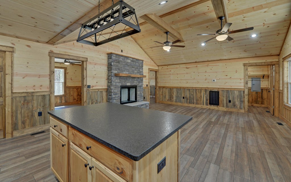 313 Burger Road Murphy, NC 28906 - Photo 3 of 41