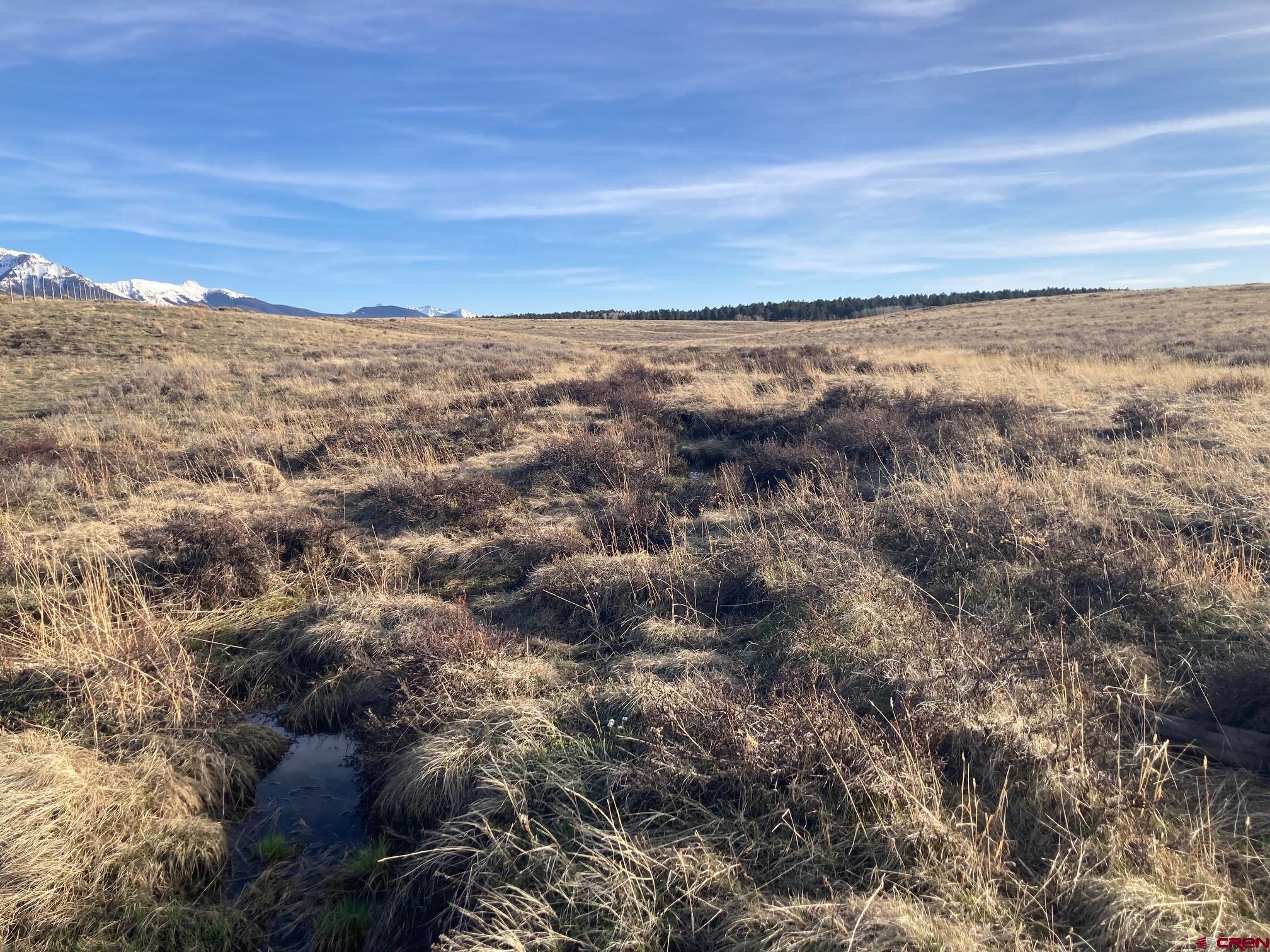 Lot 12 62x Road Placerville, CO 81430 - Photo 8 of 13 Gallery Image 8