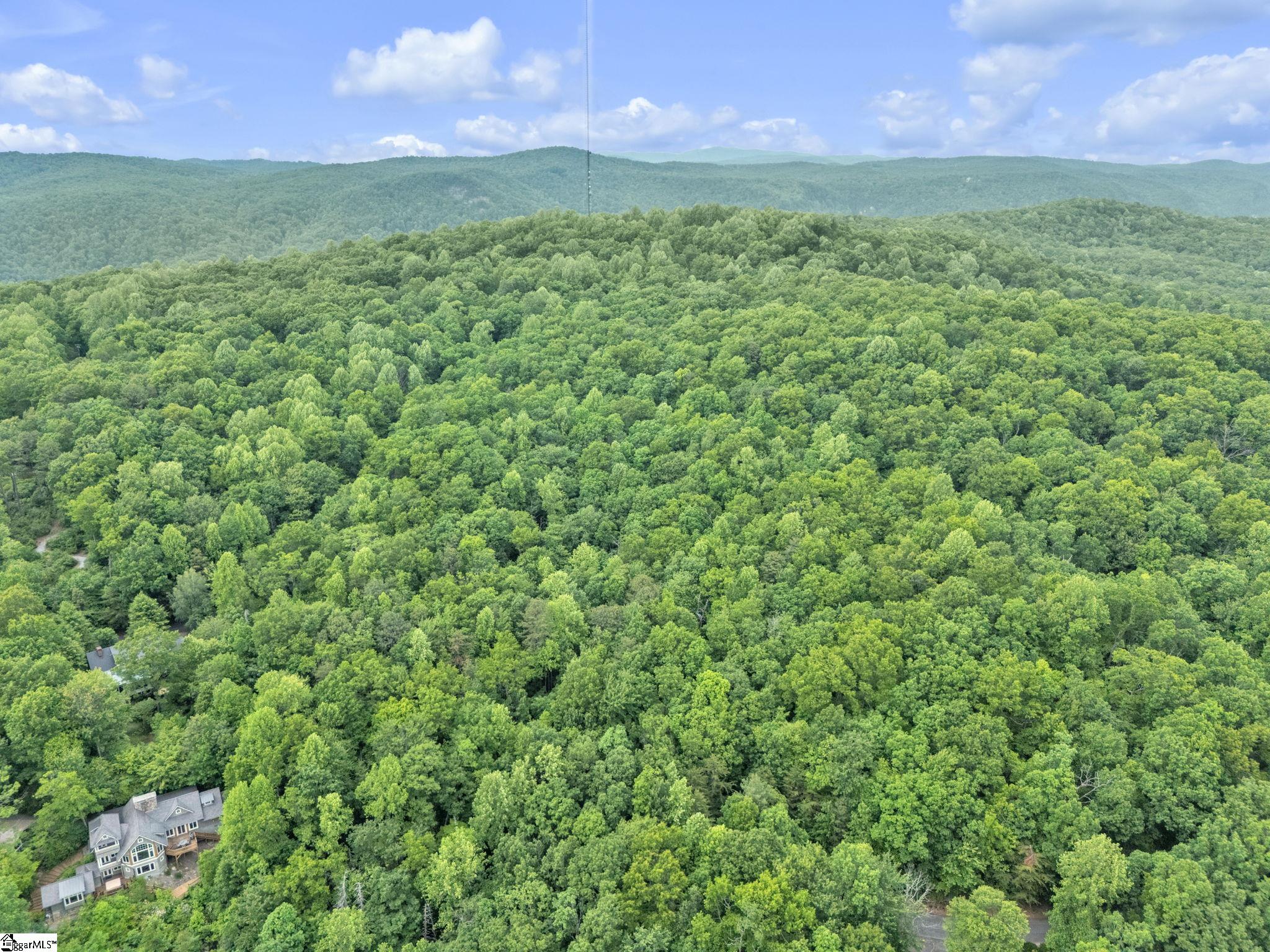113 Columbine Way Cleveland, SC 29635 - Photo 12 of 25