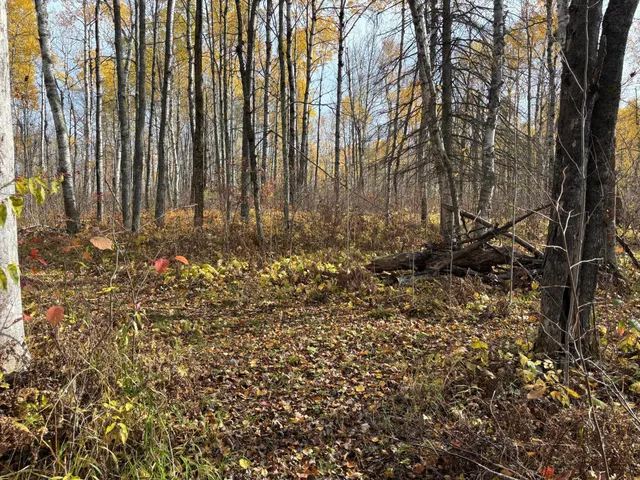 $115,000 | 2757 Erickson Road, Kettle River, MN 55757