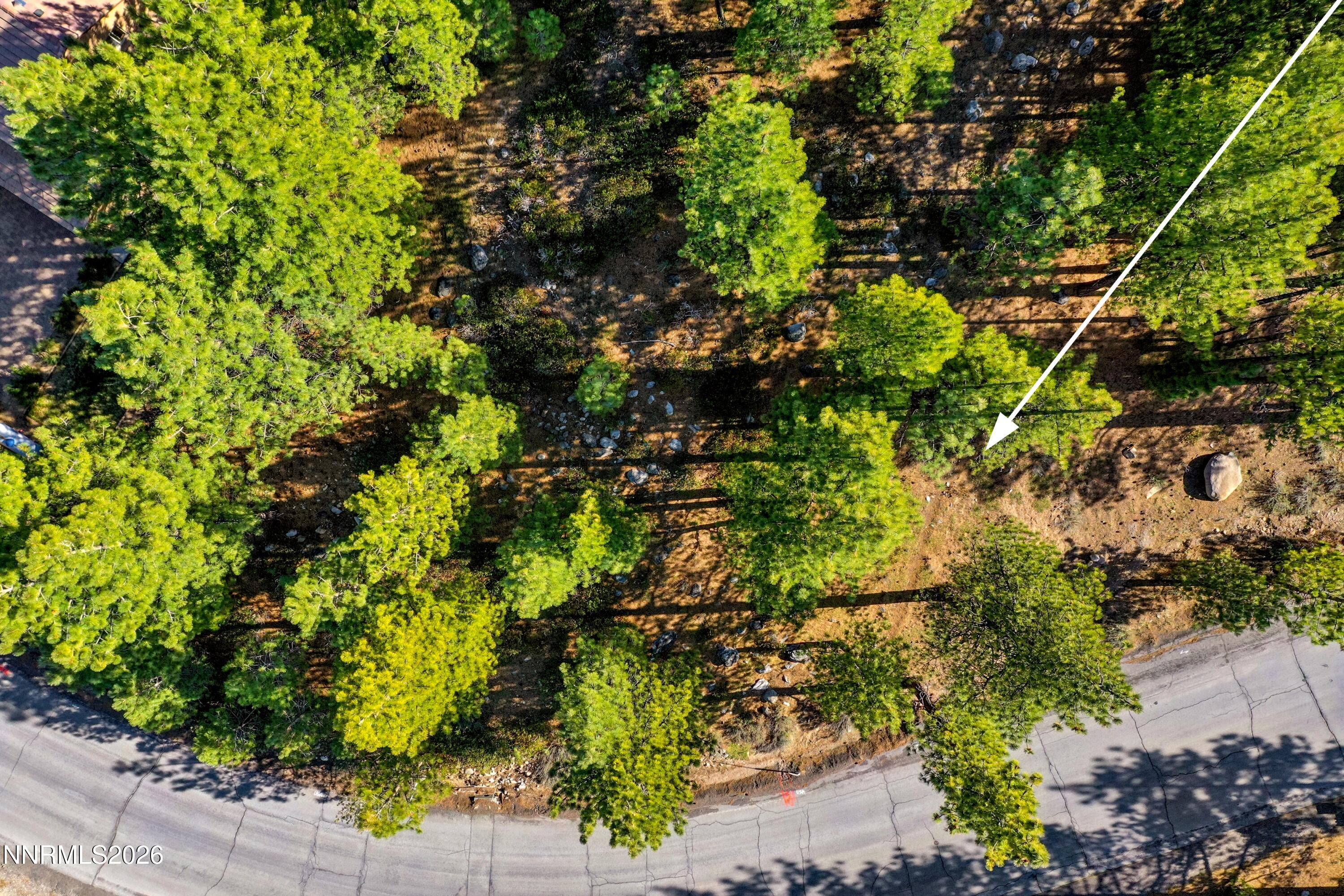 1205 Douglas Fir Drive, Unit 1 Reno, NV 89511 - Photo 13 of 27 a03