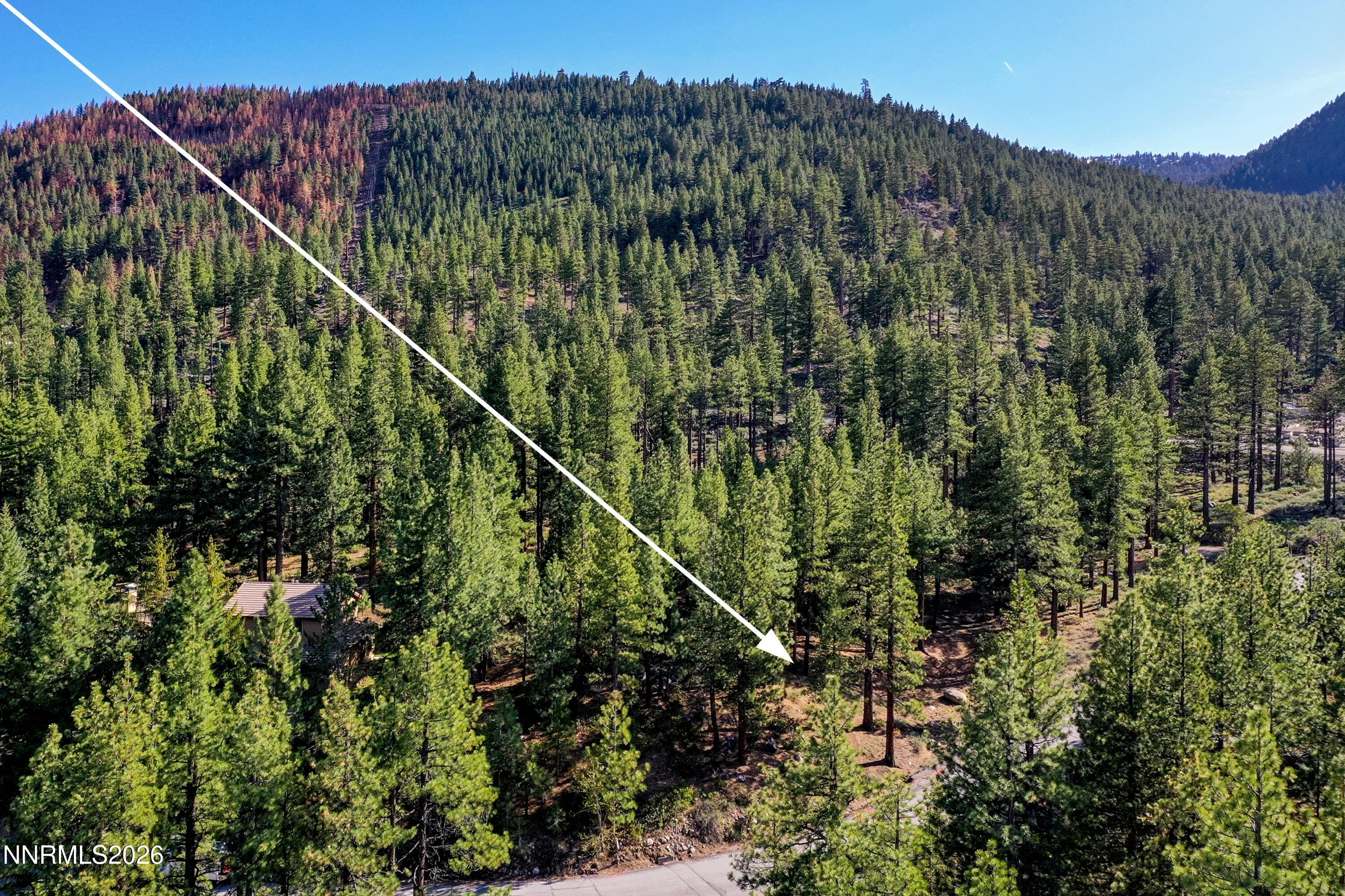 1205 Douglas Fir Drive, Unit 1 Reno, NV 89511 - Photo 16 of 27 a04