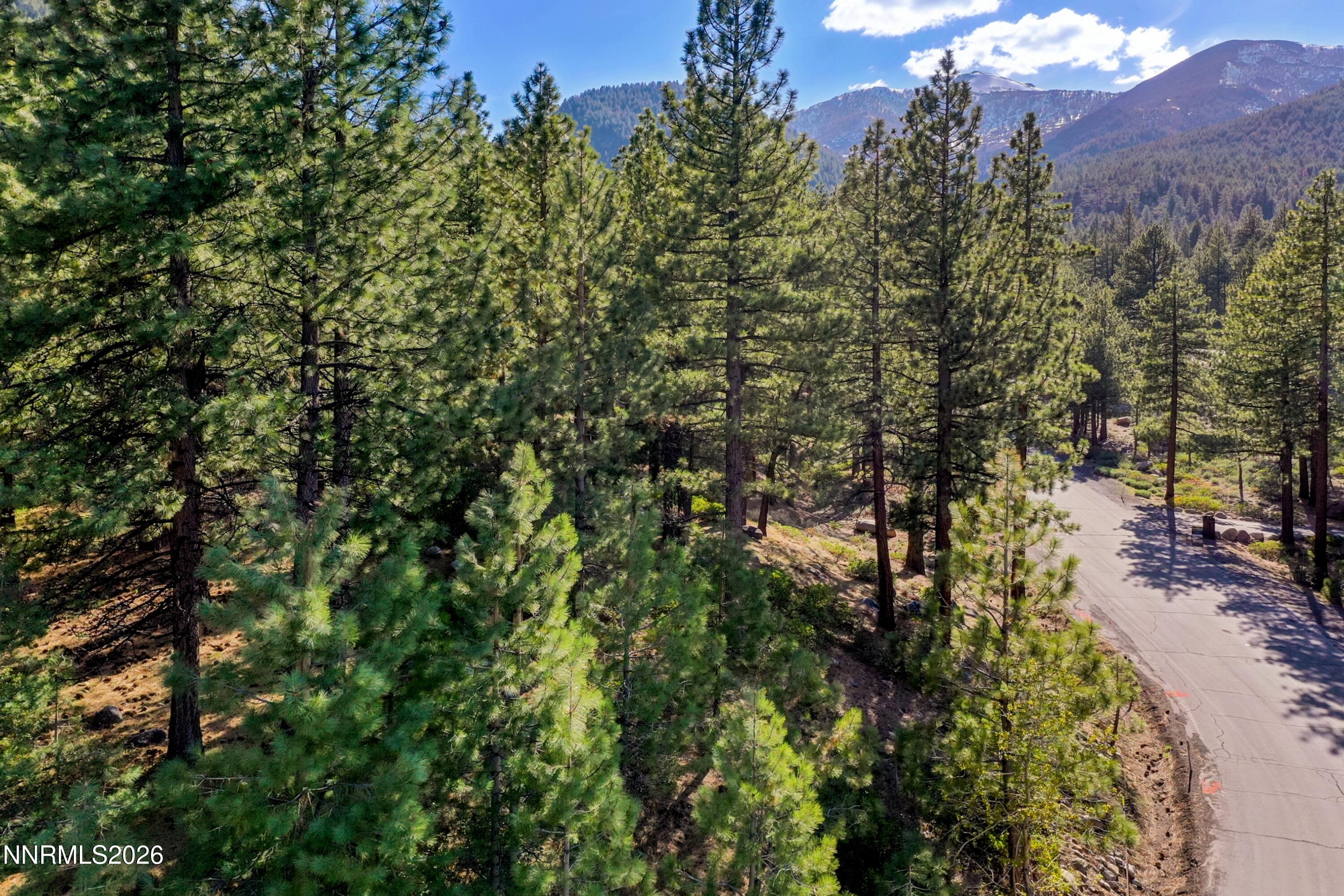 1205 Douglas Fir Drive, Unit 1 Reno, NV 89511 - Photo 17 of 27 a05