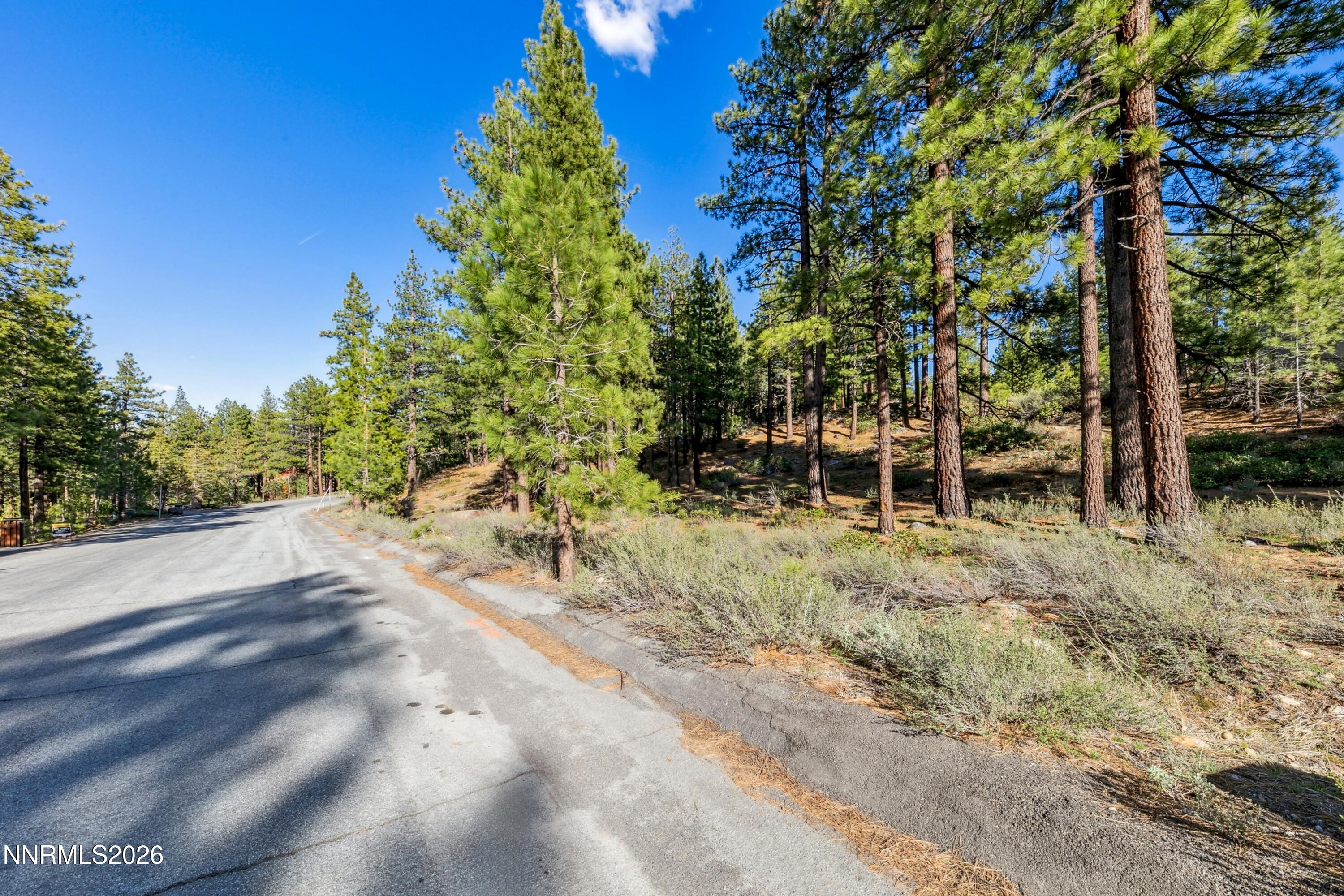 1205 Douglas Fir Drive, Unit 1 Reno, NV 89511 - Photo 18 of 27 a06