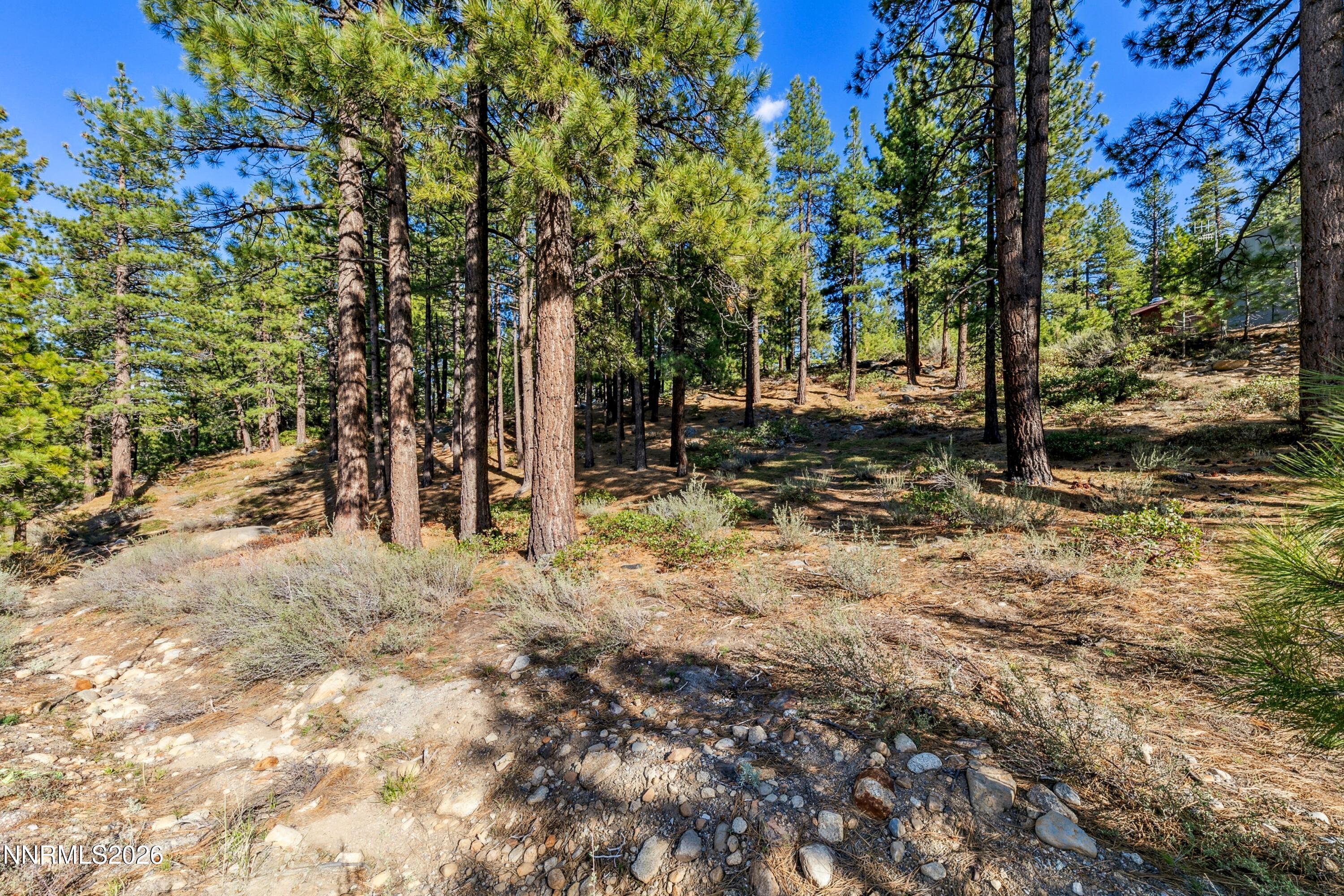 1205 Douglas Fir Drive, Unit 1 Reno, NV 89511 - Photo 19 of 27 a07