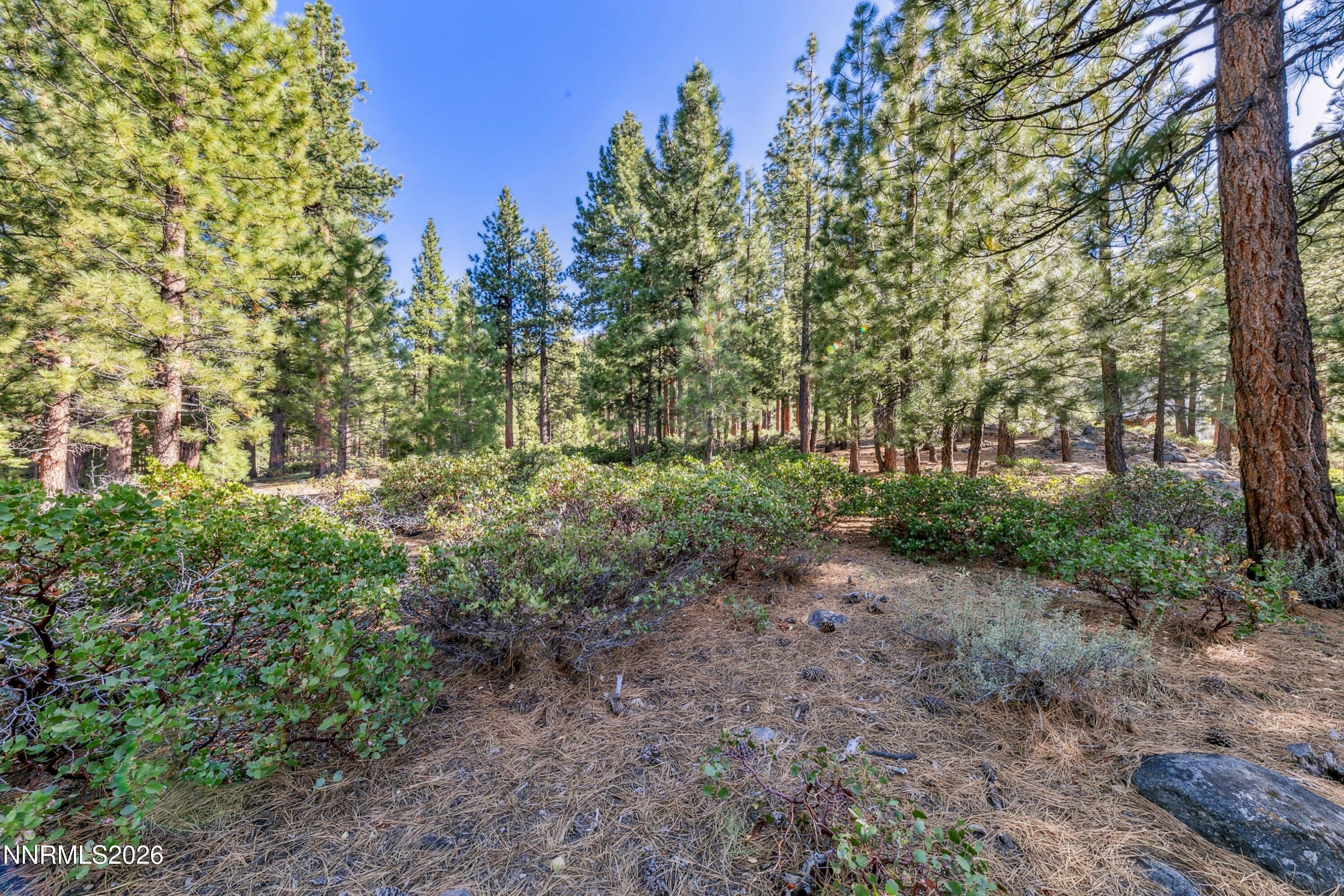 1205 Douglas Fir Drive, Unit 1 Reno, NV 89511 - Photo 22 of 27 a10