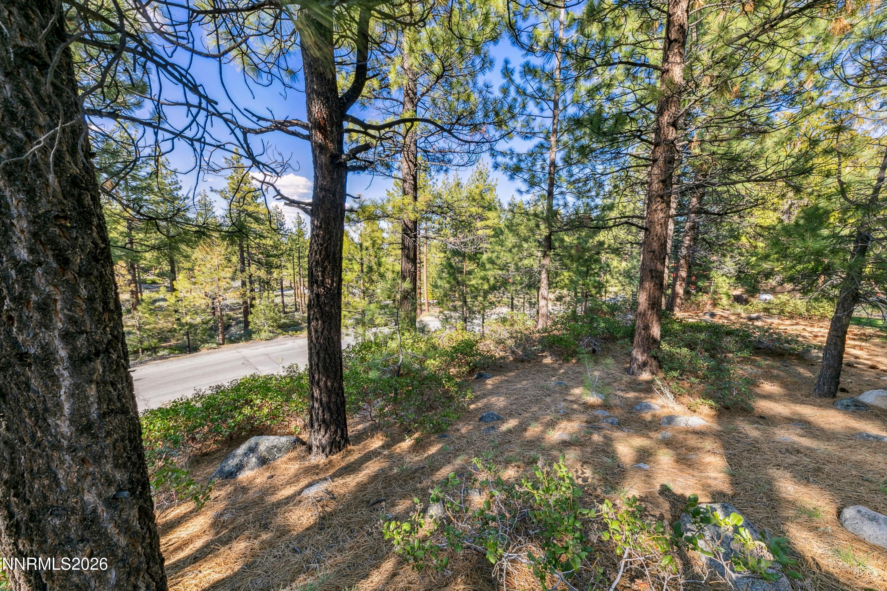 1205 Douglas Fir Drive, Unit 1 Reno, NV 89511 - Photo 26 of 27 a14