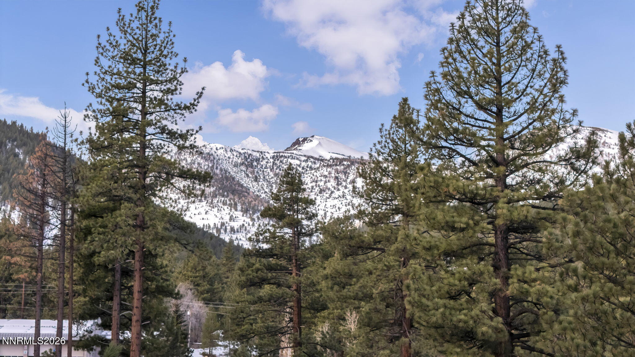 1205 Douglas Fir Drive, Unit 1 Reno, NV 89511 - Photo 10 of 27 19-web-or-mls-307-e-jeffrey-and-1205-dou