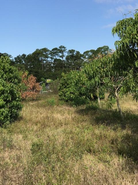 Lot Tripp Lot Tripp Road Loxahatchee, FL 33470 - Photo 21 of 25 IMG_6554
