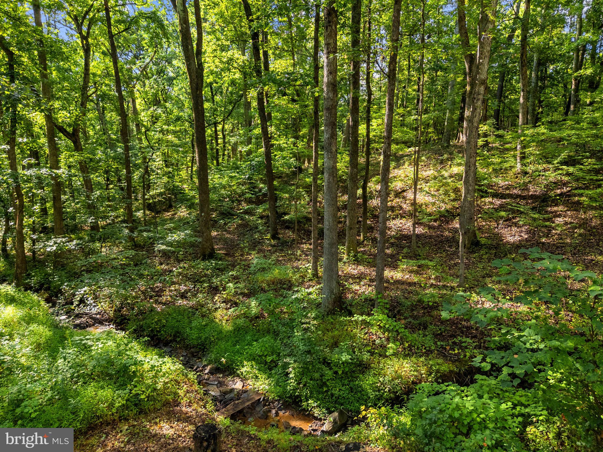 1454 Pin Oak Road Paw Paw, WV 25434 - Photo 57 of 60 Gallery Image 57