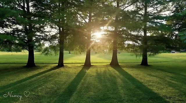 $290,000 | 2135 Hillsdale Street, Lebanon, MO 65536