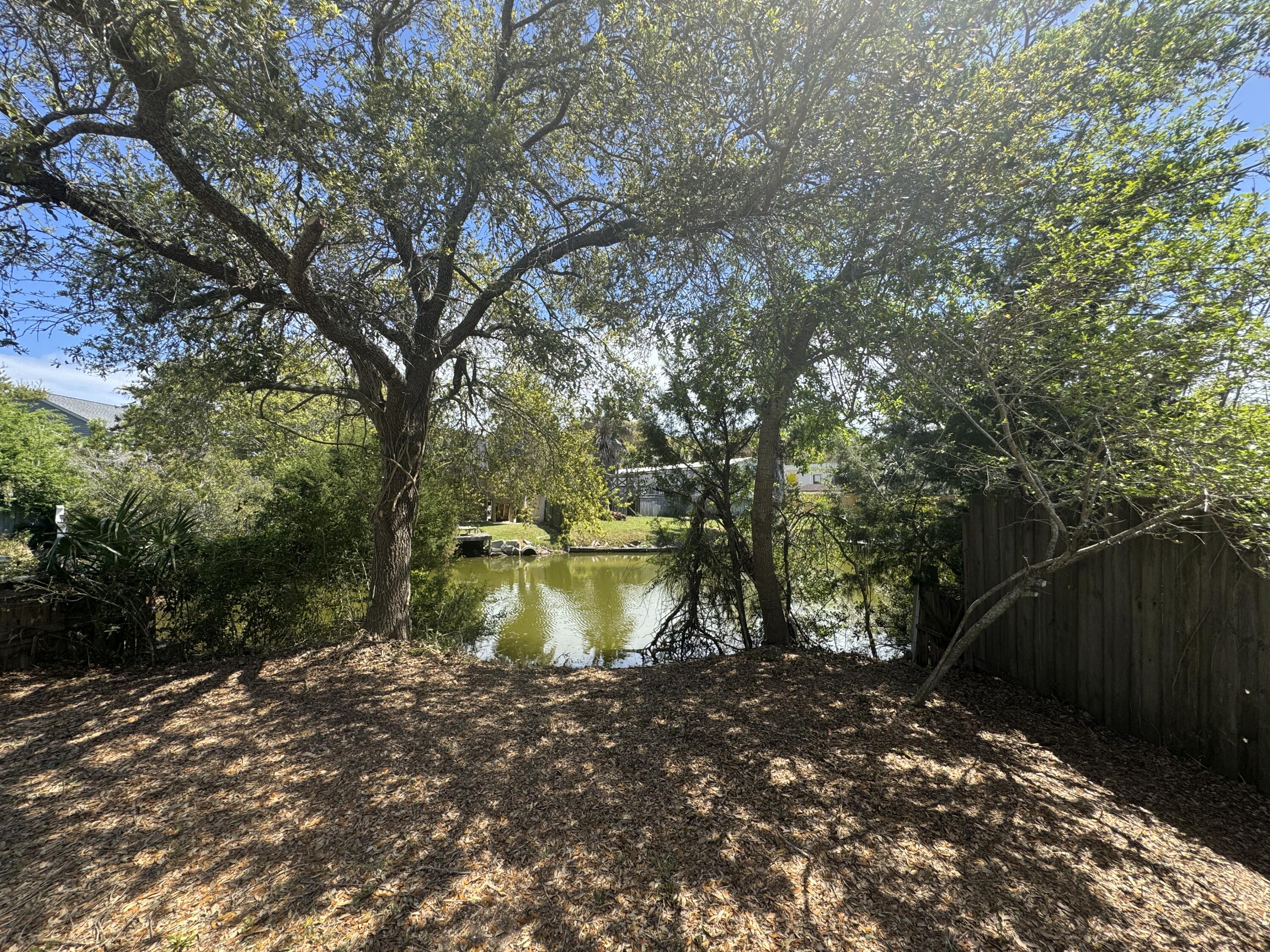 1667 Wading Heron Road Charleston, SC 29412 - Photo 4 of 16 backyard pond
