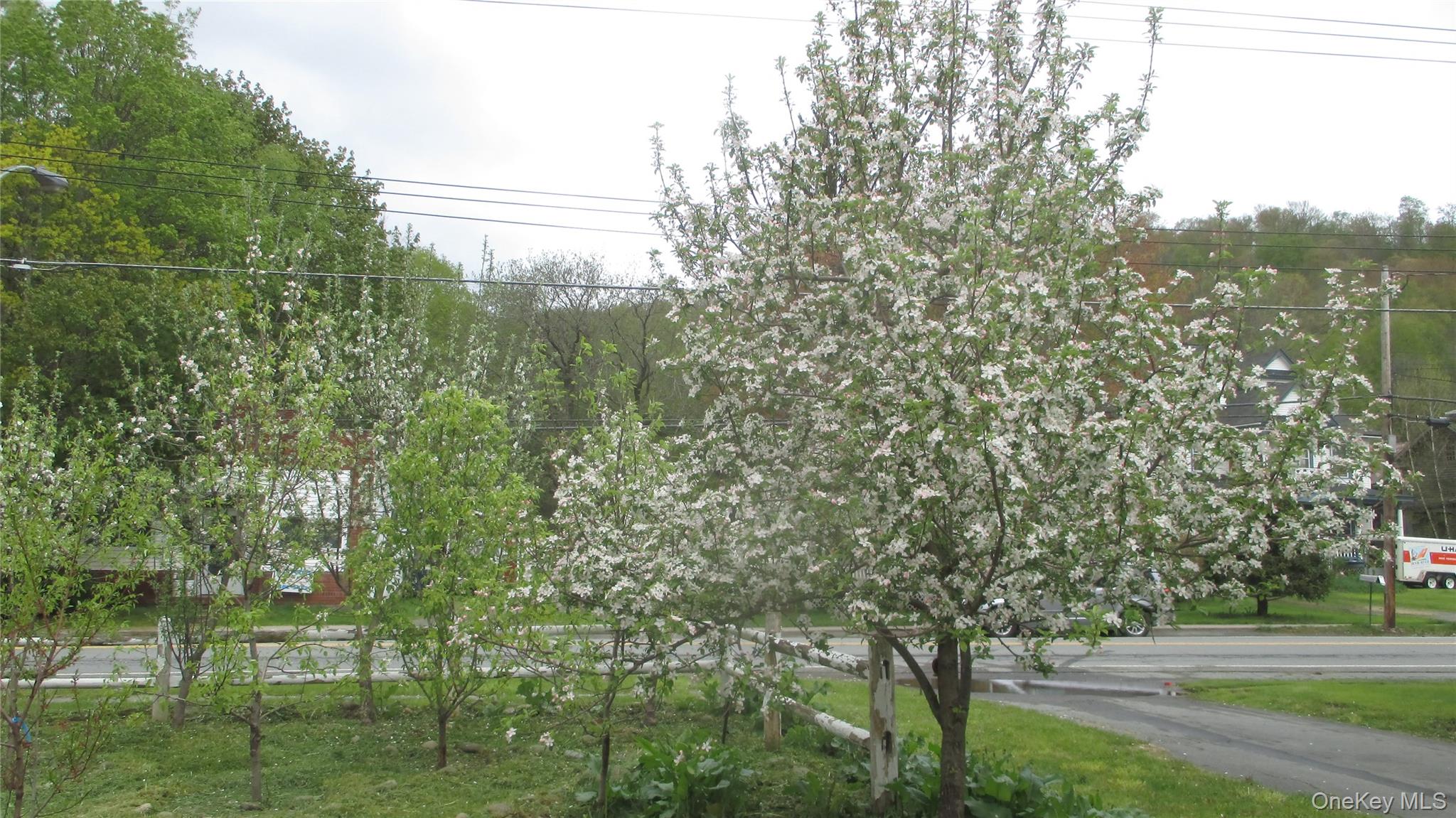 876 North Branch Road North Branch, NY 12766 - Photo 22 of 27 a view of a yard