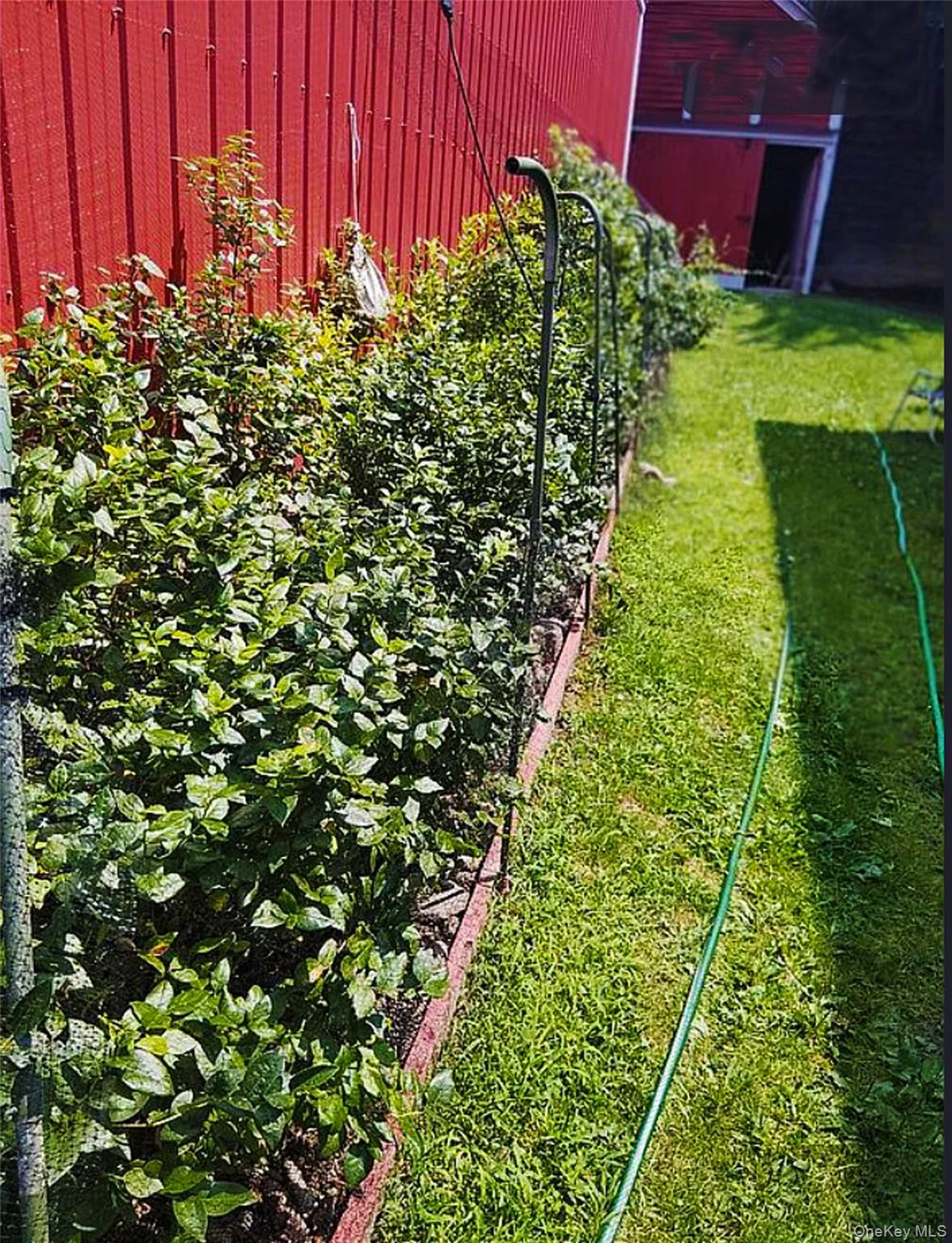 876 North Branch Road North Branch, NY 12766 - Photo 24 of 27 a view of a yard with plants