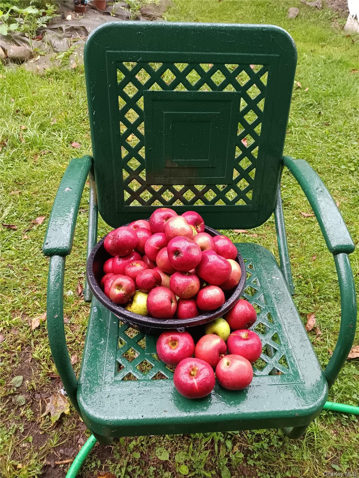 876 North Branch Road North Branch, NY 12766 - Photo 26 of 27 a view of a wooden floor with a table and chairs