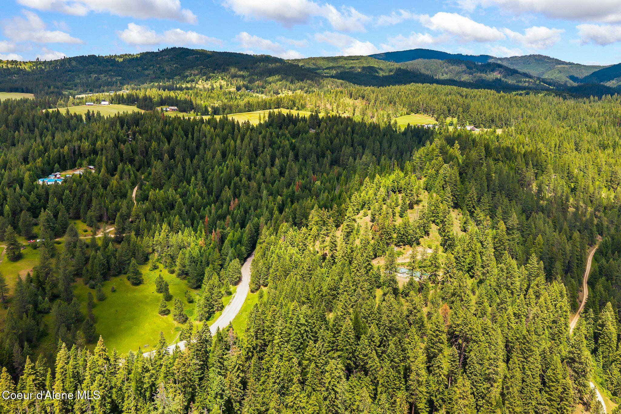 4304 South Elk Road Harrison, ID 83833 - Photo 39 of 39 40_DJI_20260604134315_0272_D