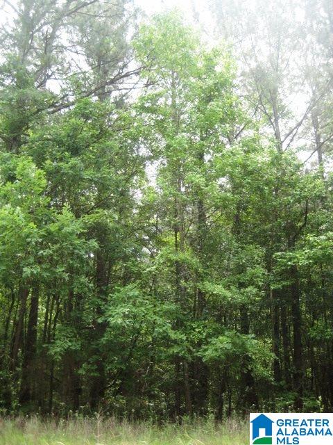 0 Sulphur Springs Road, Unit 10 ACRES Lincoln, AL 35096 - Photo 30 of 32