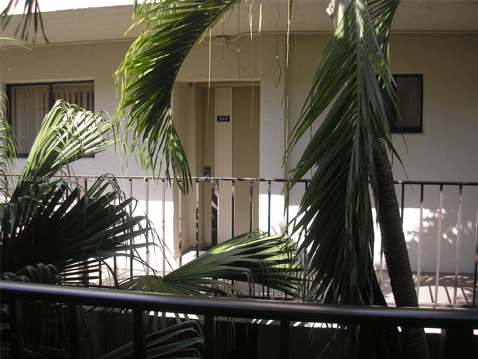 8035 Southwest 107th Avenue, Unit 317 Miami, FL 33173 - Photo 2 of 17 a close up of a potted plant
