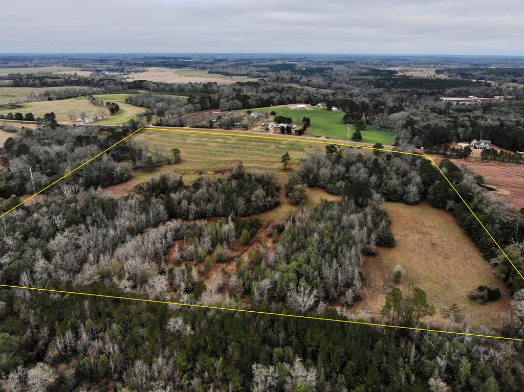0 Tom Fain Road Geneva, AL 36340 - Photo 4 of 13