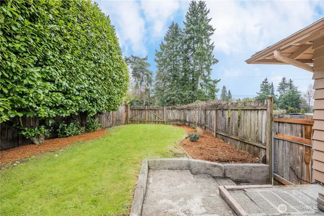 a view of a backyard with a large tree and wooden fence
