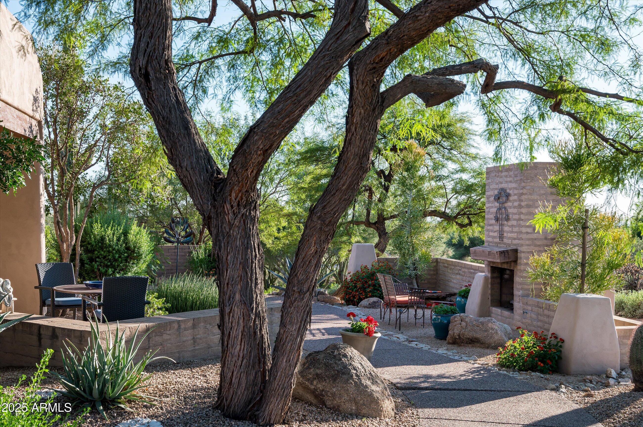 Lush Entry Walkway
