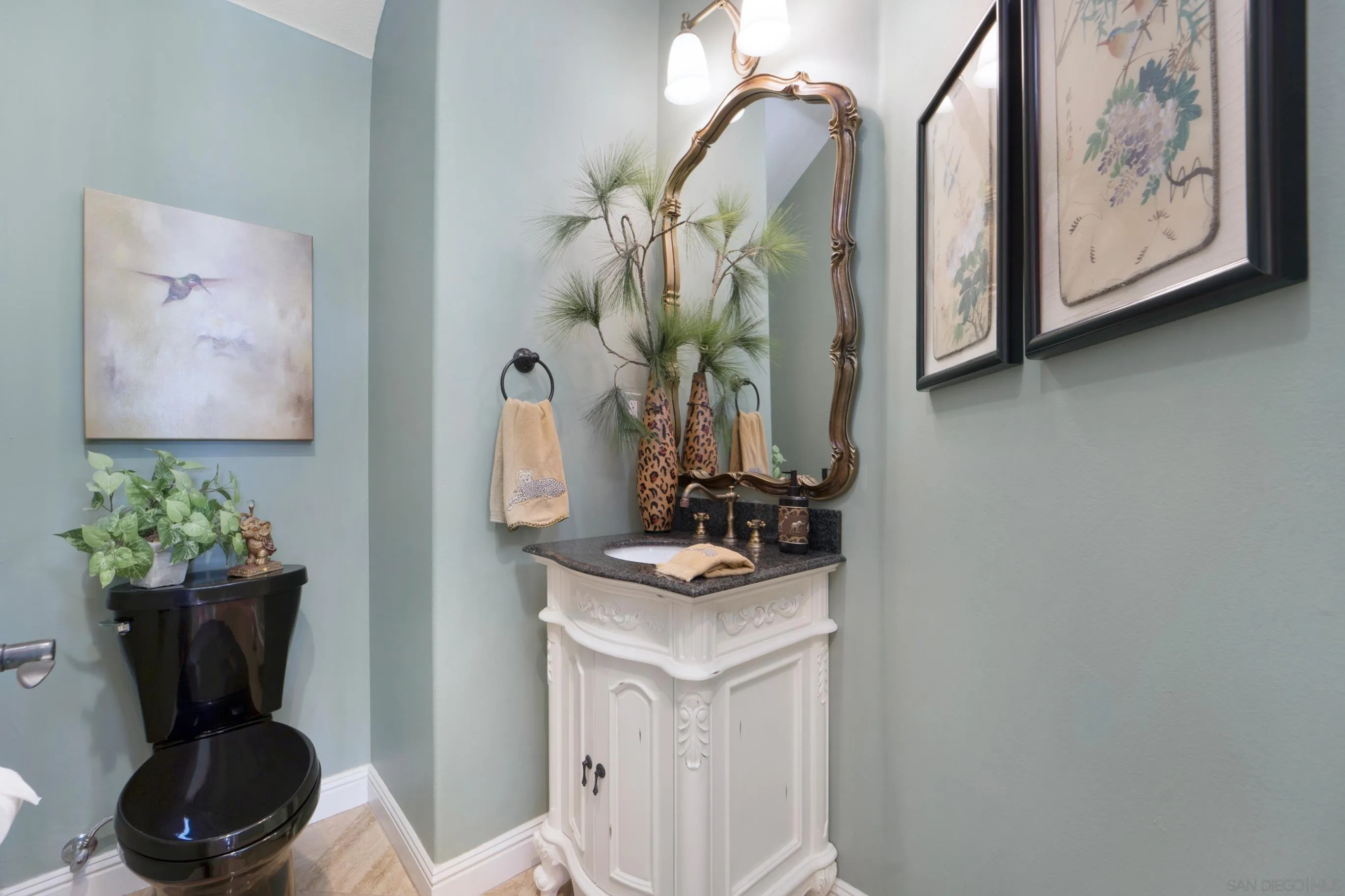 698 Cypress Hills Drive Encinitas, CA 92024 - Photo 21 of 67 a bathroom with a toilet sink and mirror