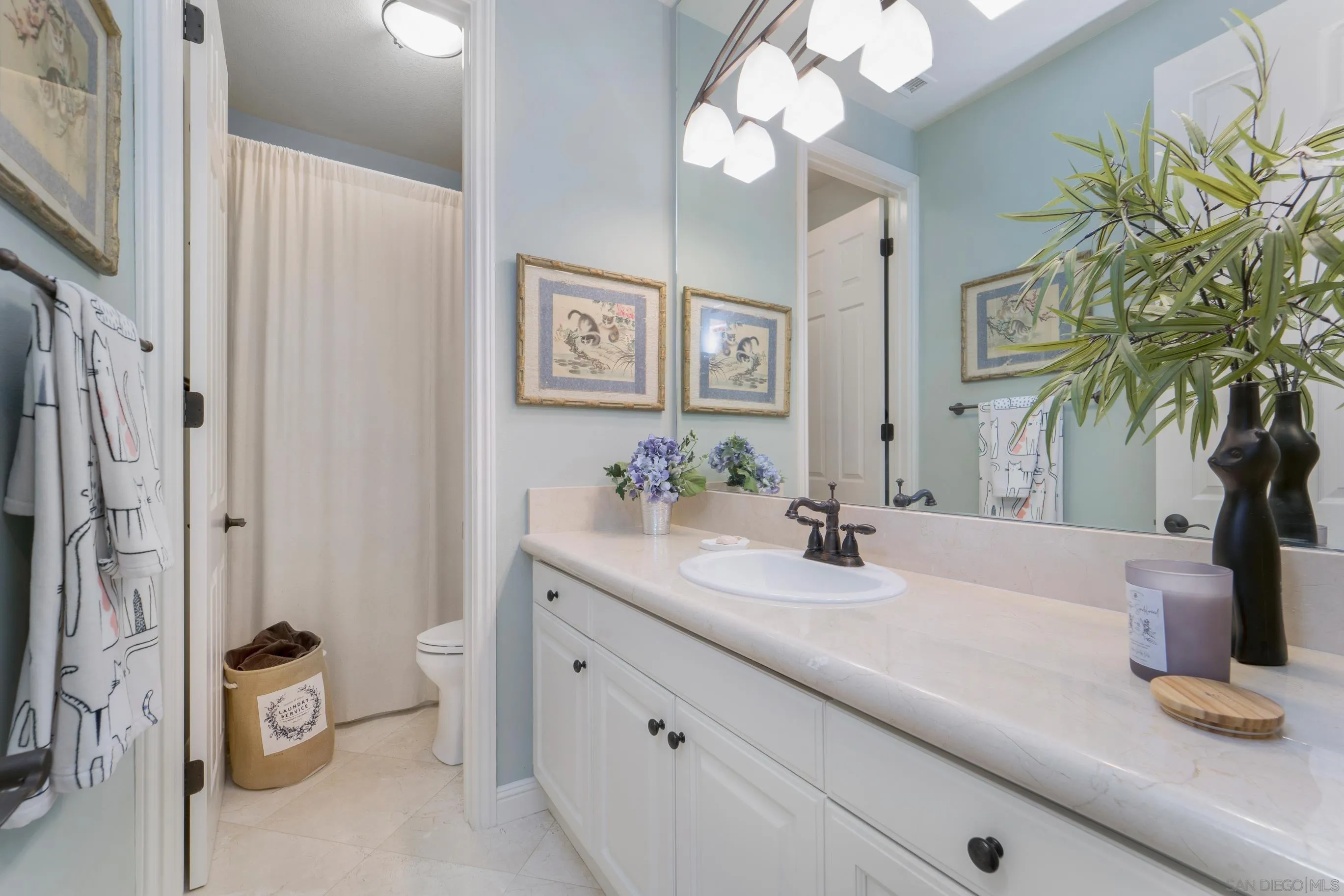 698 Cypress Hills Drive Encinitas, CA 92024 - Photo 36 of 67 a bathroom with a sink a mirror and a shower