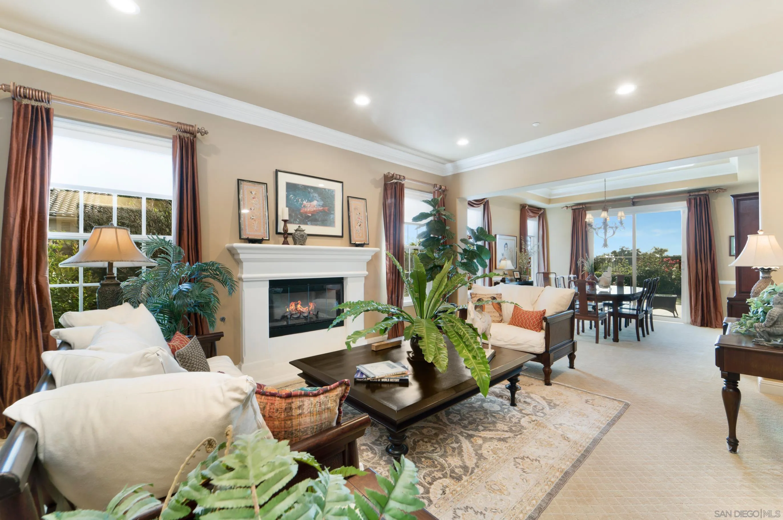 698 Cypress Hills Drive Encinitas, CA 92024 - Photo 6 of 67 a living room with furniture potted plant and a fireplace