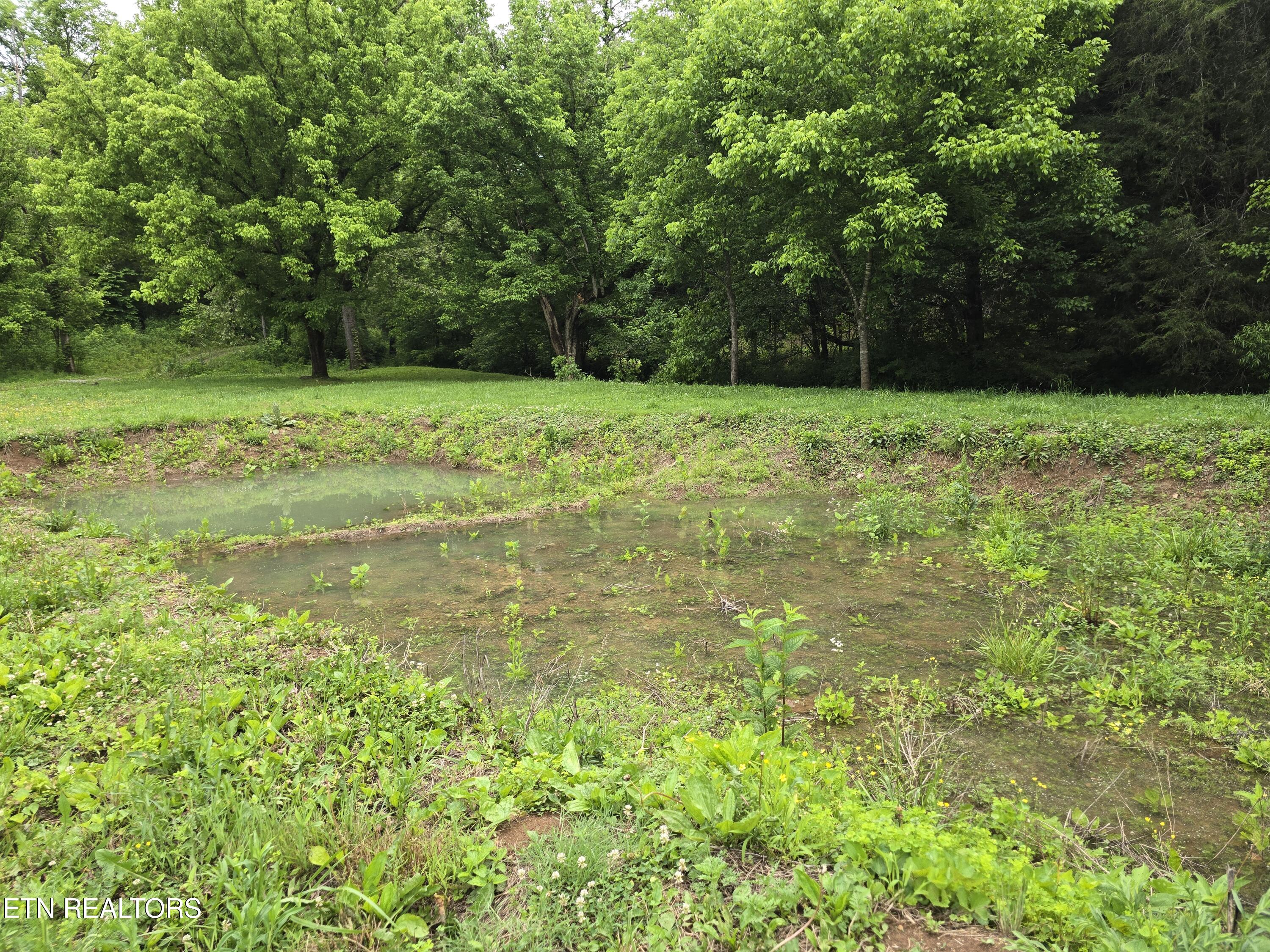 2615 Stoney Fork Road Sneedville, TN 37869 - Photo 38 of 60 20260525_192547