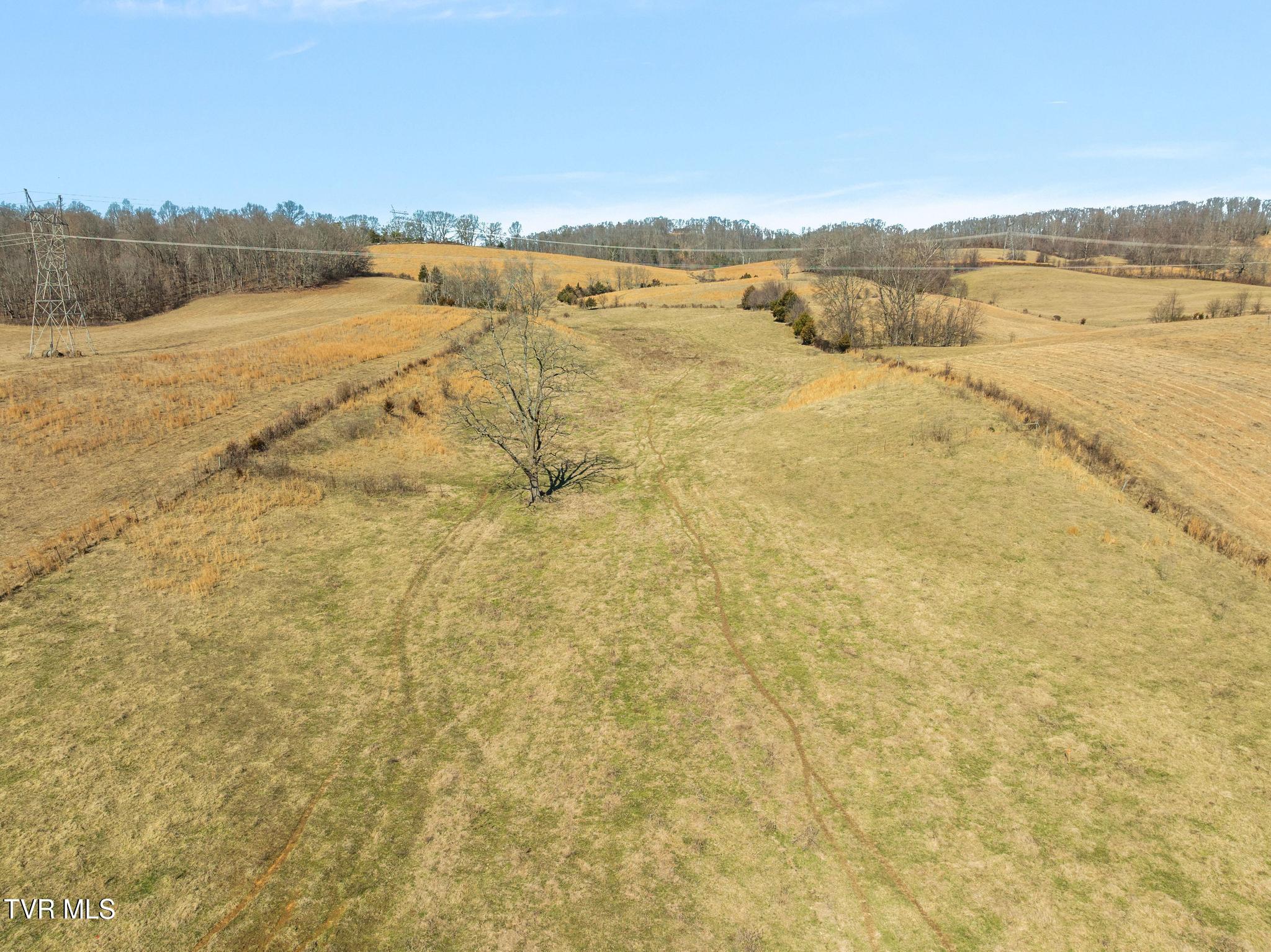 Lot 4 Tbd Tennessee 93 Fall Branch Fall Branch, TN 37656 - Photo 5 of 11 Lot 4