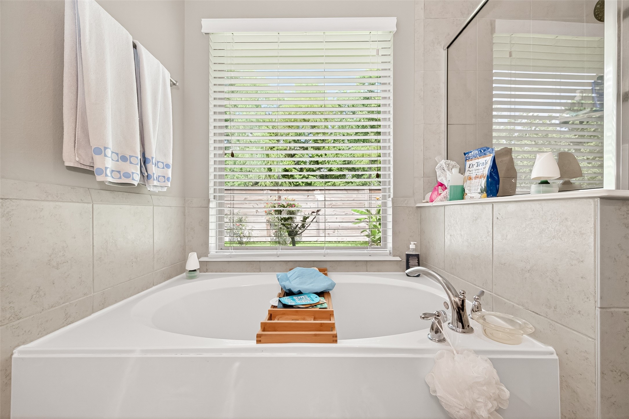 21519 Gable Meadows Lane Spring, TX 77379 - Photo 10 of 14 Primary Bathroom