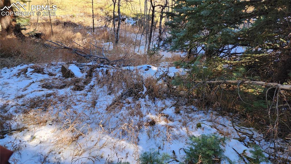 Undisclosed Address Rye, CO 81069 - Photo 11 of 25 a backyard of a house with lots of green space