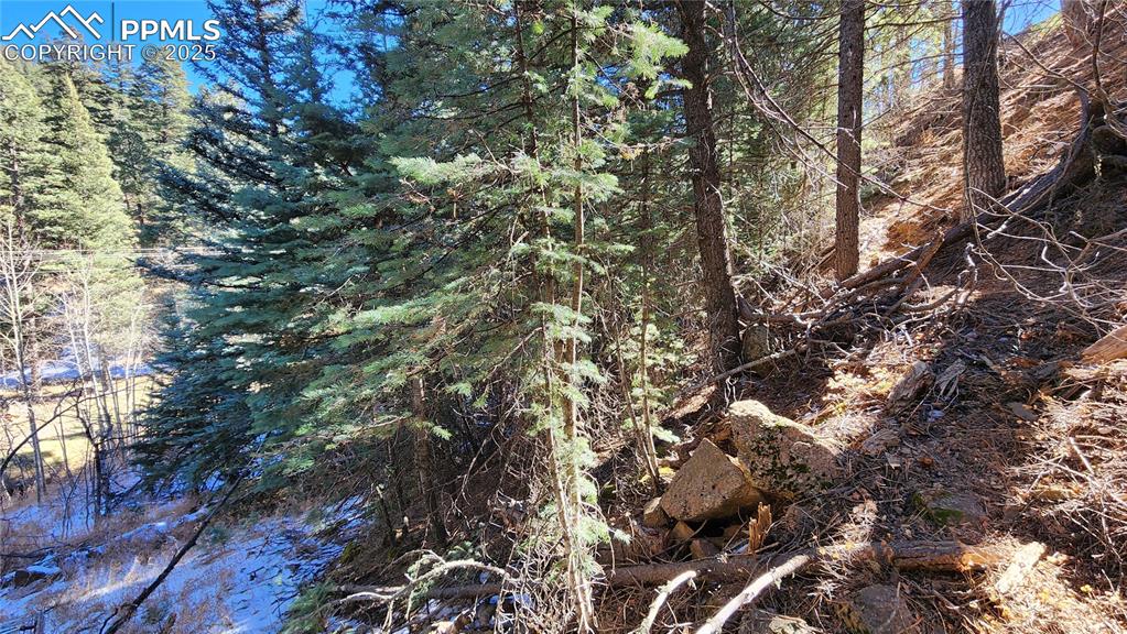 Undisclosed Address Rye, CO 81069 - Photo 12 of 25 a view of a tree