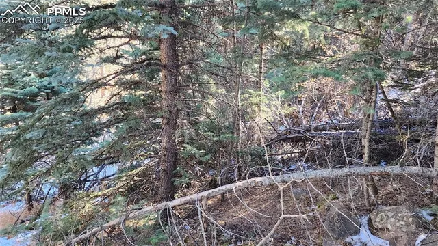 a view of a backyard of the house
