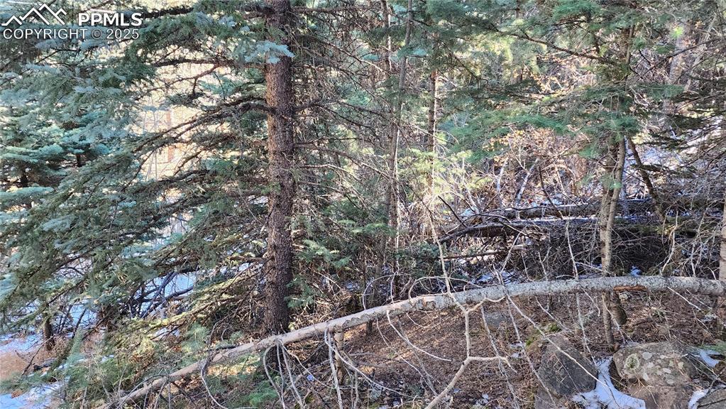 Undisclosed Address Rye, CO 81069 - Photo 13 of 25