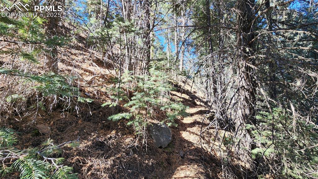 Undisclosed Address Rye, CO 81069 - Photo 3 of 25