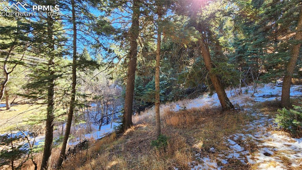 Undisclosed Address Rye, CO 81069 - Photo 5 of 25 a view of a forest filled with trees