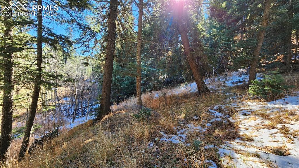 Undisclosed Address Rye, CO 81069 - Photo 7 of 25 a backyard of a house with lots of green space