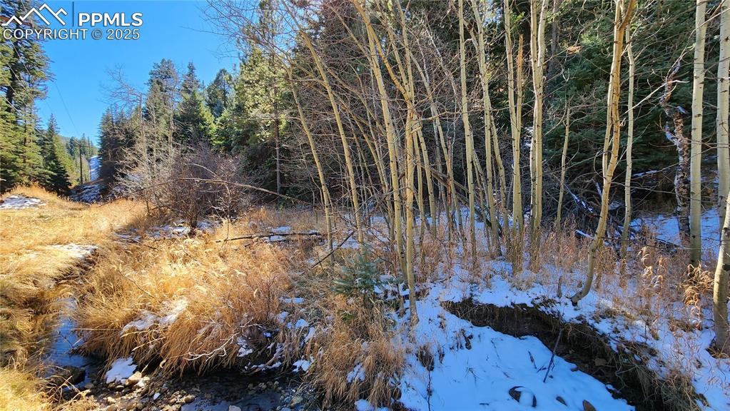 Undisclosed Address Rye, CO 81069 - Photo 8 of 25 a view of a backyard of the house