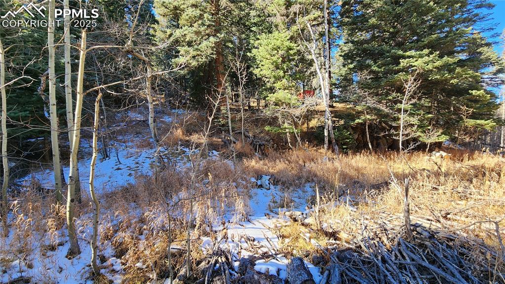 Undisclosed Address Rye, CO 81069 - Photo 9 of 25 a view of swimming pool and green space