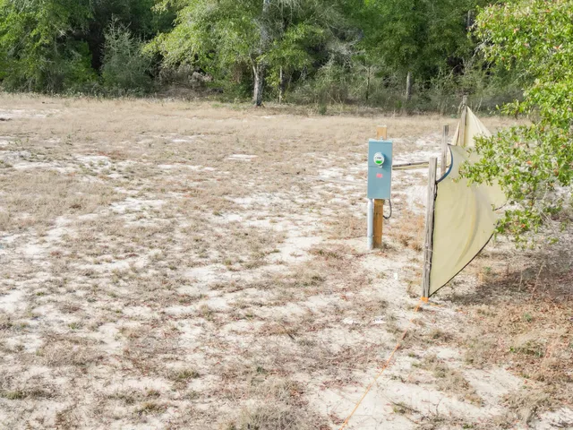 a view of a yard with trees
