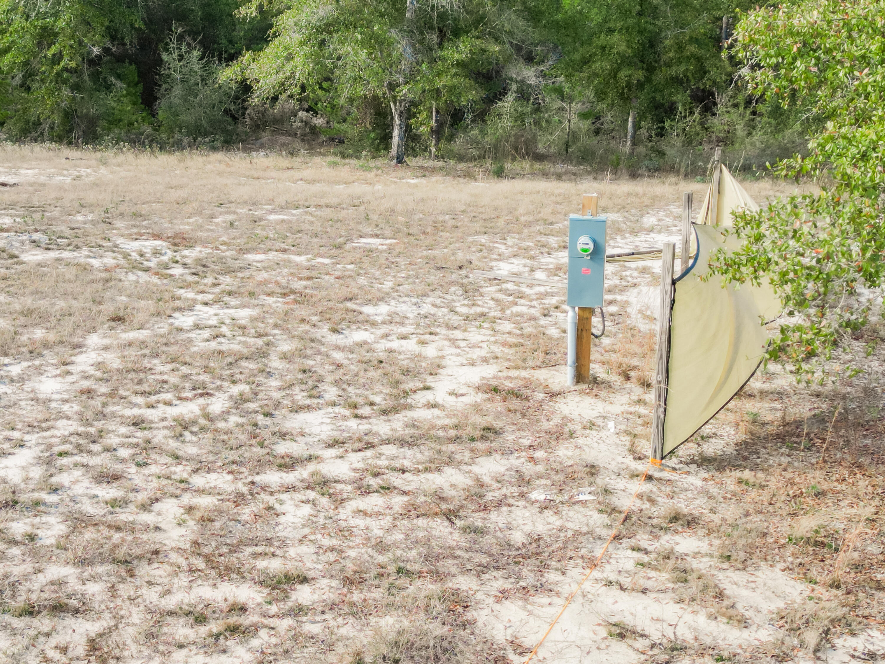 4712 Canary Way Crestview, FL 32539 - Photo 14 of 17 a view of a yard with trees