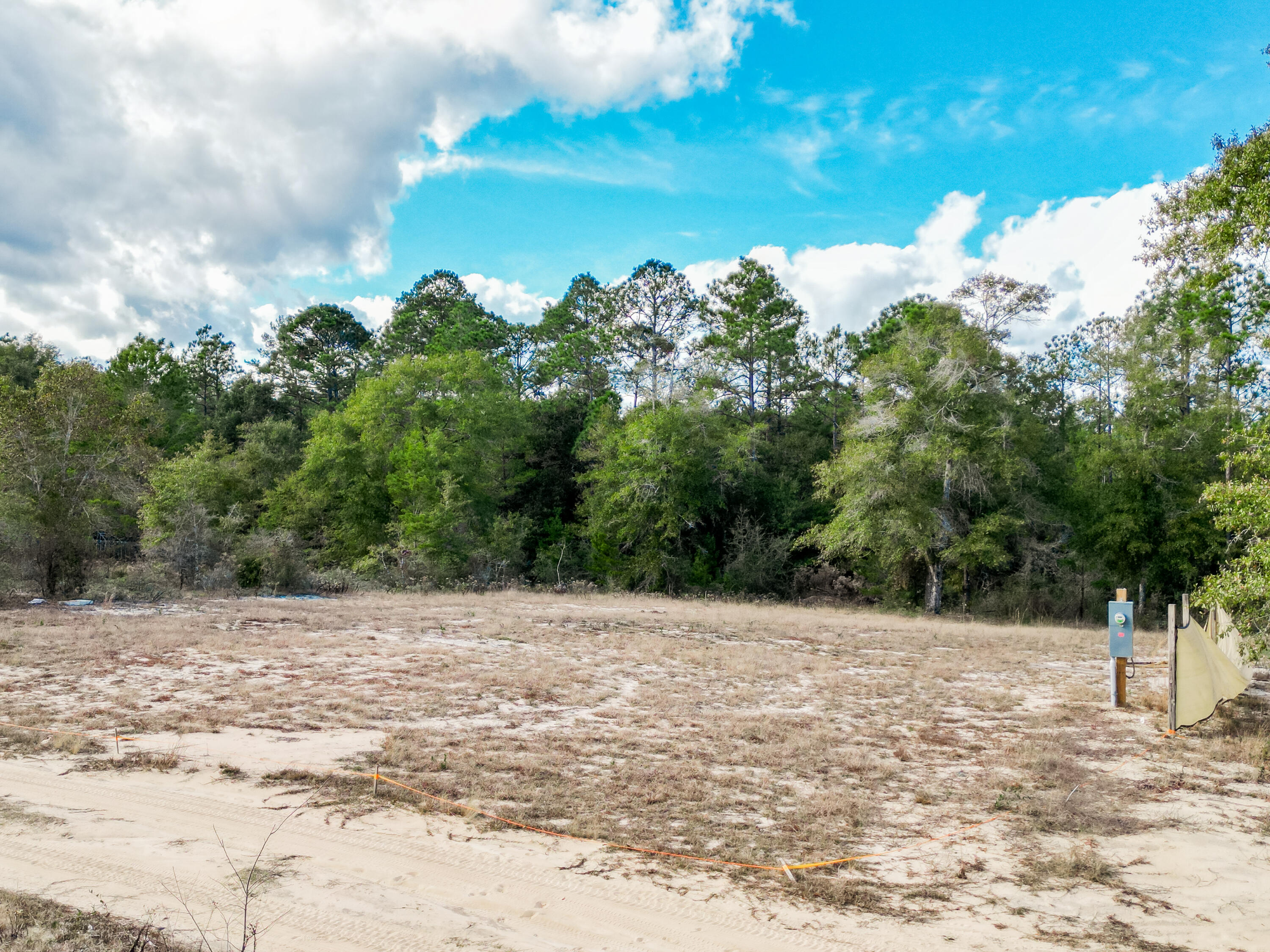 4712 Canary Way Crestview, FL 32539 - Photo 15 of 17 a view of a tree with a yard