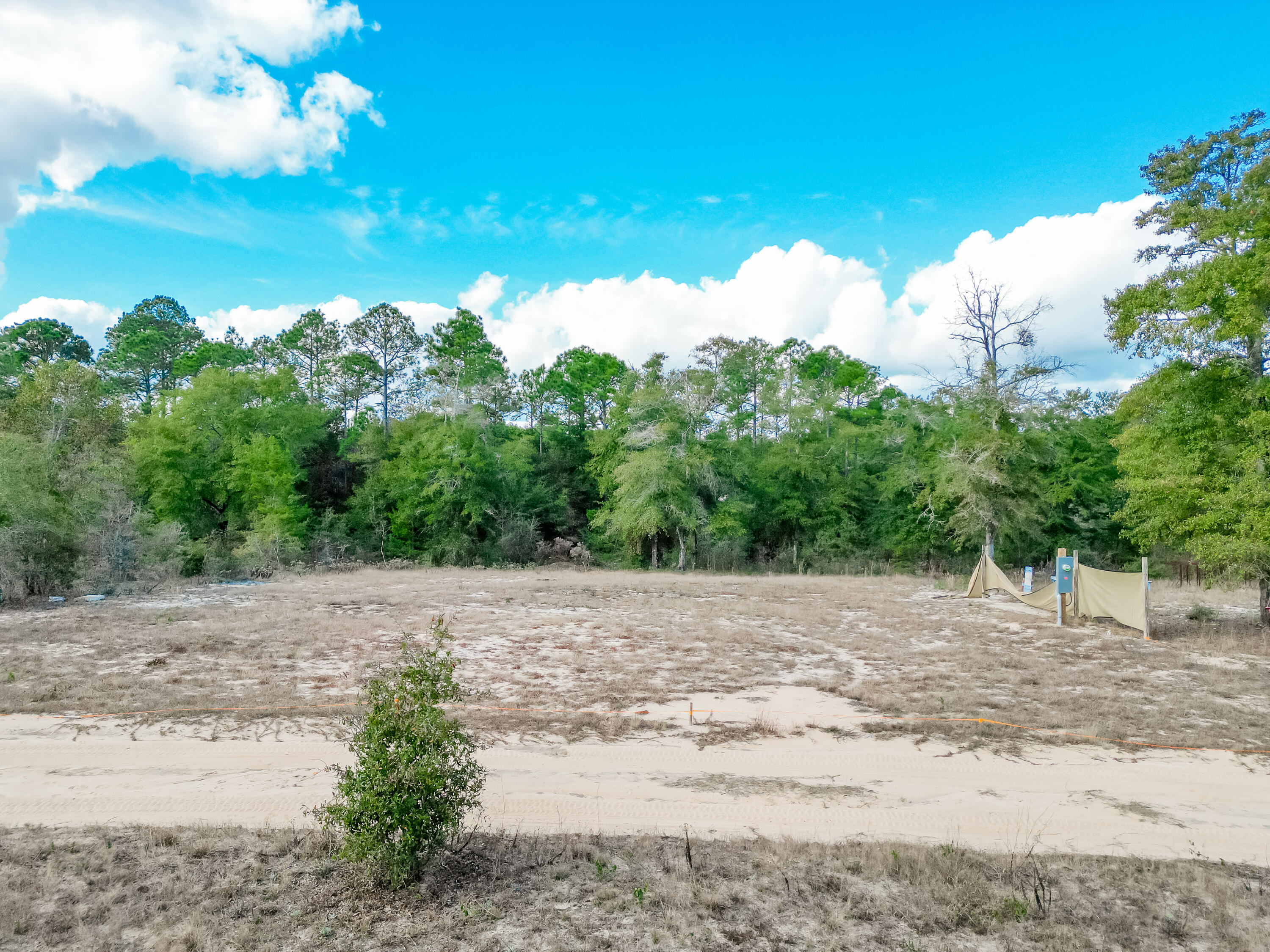 4712 Canary Way Crestview, FL 32539 - Photo 16 of 17 a view of beach and a yard