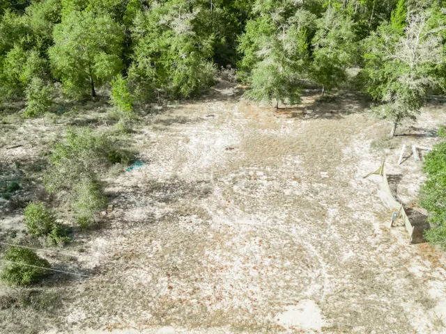 a view of a yard with a tree