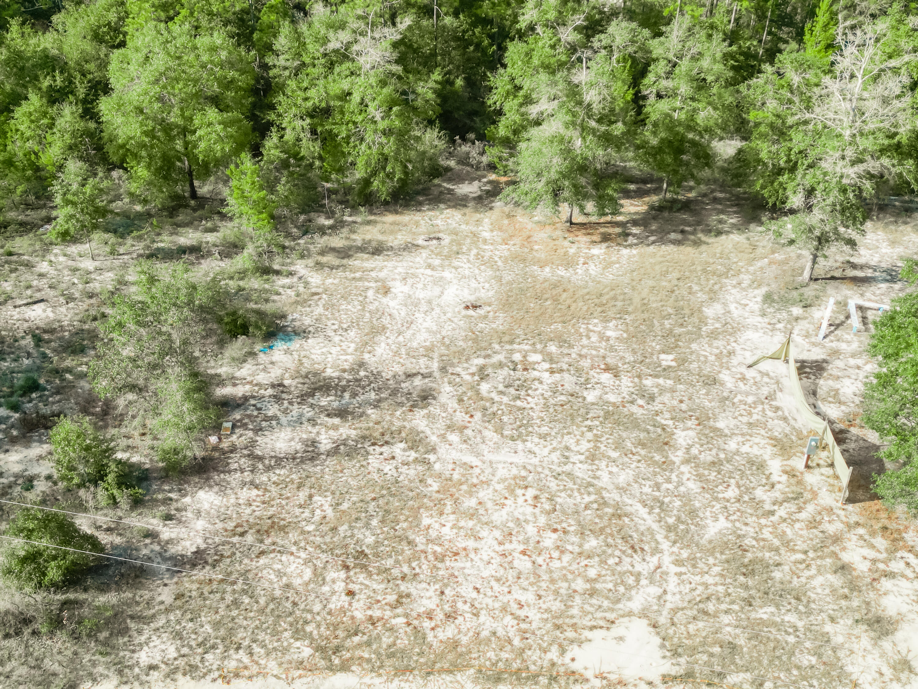 4712 Canary Way Crestview, FL 32539 - Photo 5 of 17 a view of a yard with a tree