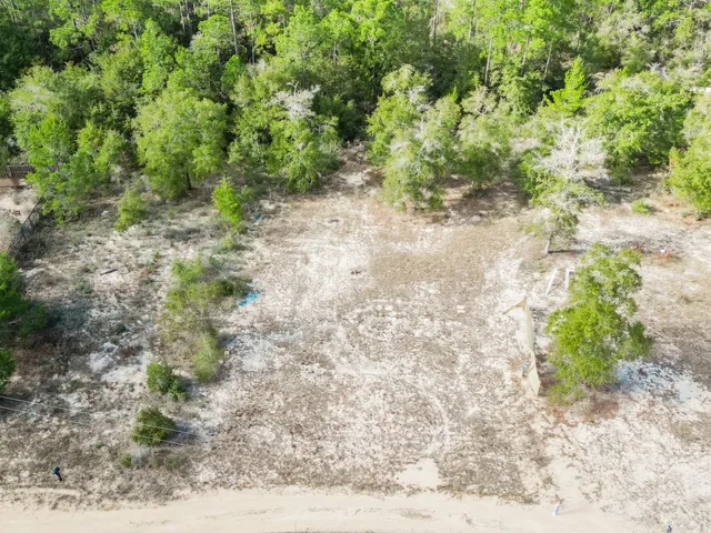 a view of a dry yard with trees