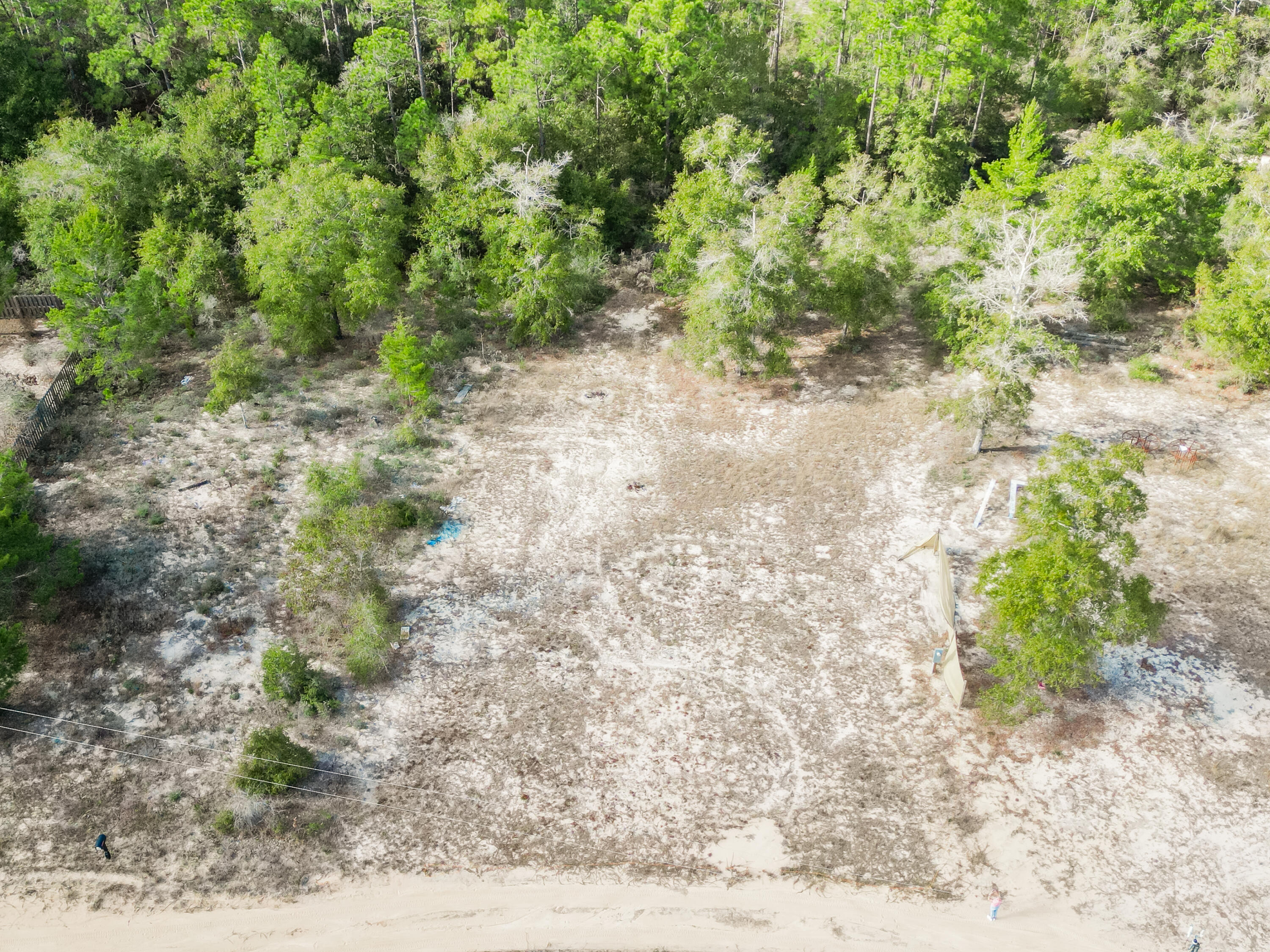 4712 Canary Way Crestview, FL 32539 - Photo 6 of 17 a view of a dry yard with trees