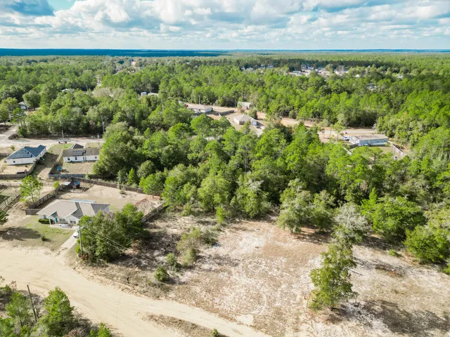 a view of a yard with plants