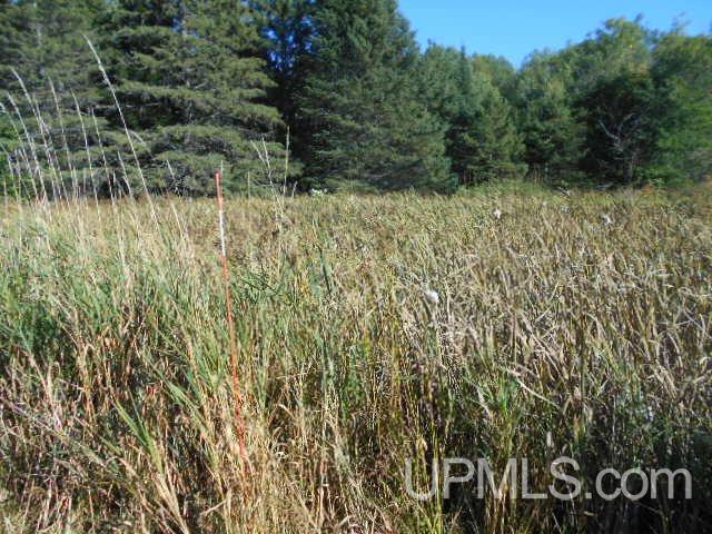 Tbd Miller Road Florence, WI 54121 - Photo 4 of 24